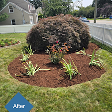 A-Fresh-Start-Planting-Landscape-Design-in-Stratford-CT 5